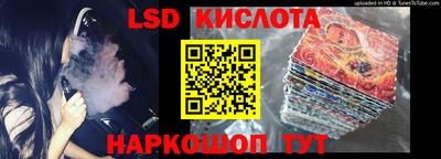 стаф Донской