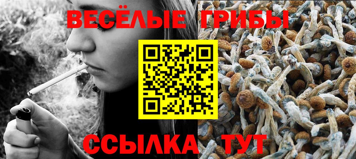 Псилоцибиновые грибы Cubensis Люберцы